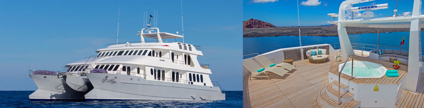 Alya Luxury Catamaran