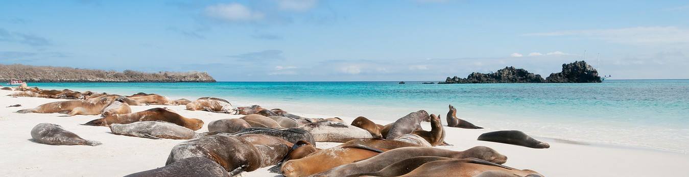 Galapagos Islands