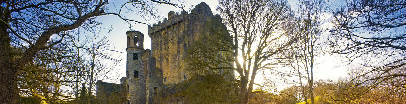 Stand beneath Ireland