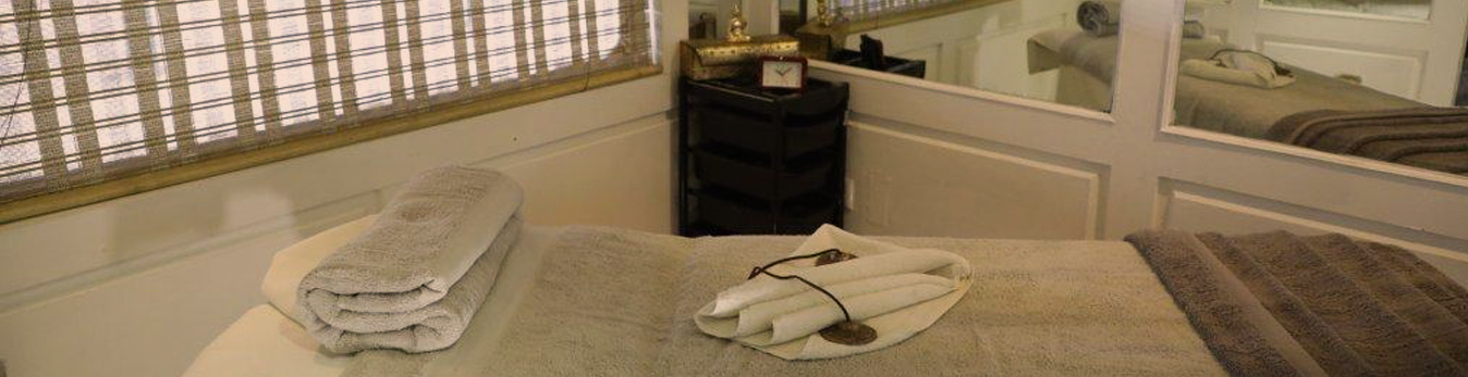 Palace on Wheels Luxury Train in India