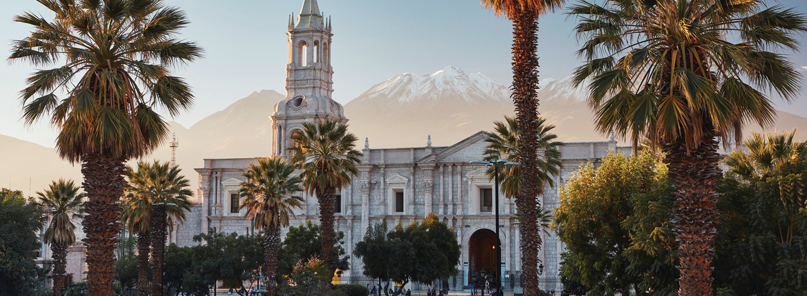 Explore the various cities