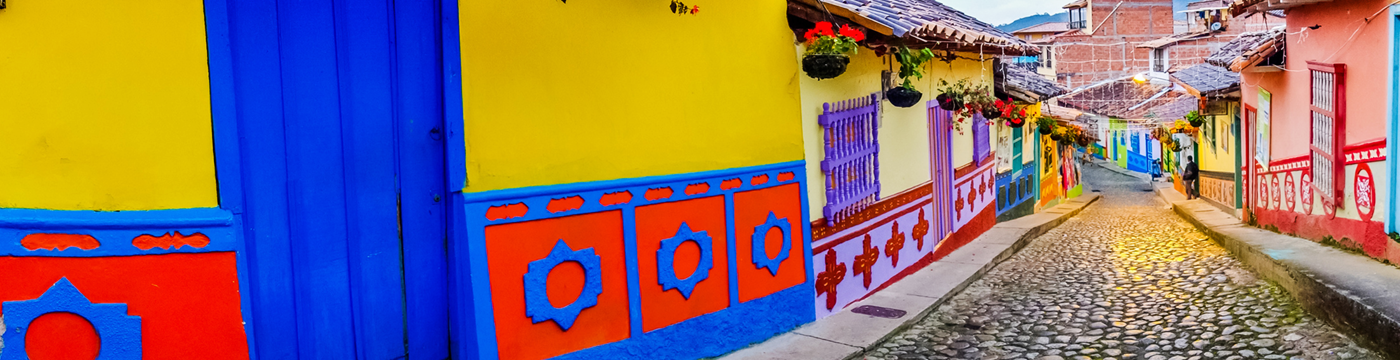 Book Now and receive 50% off companion fare