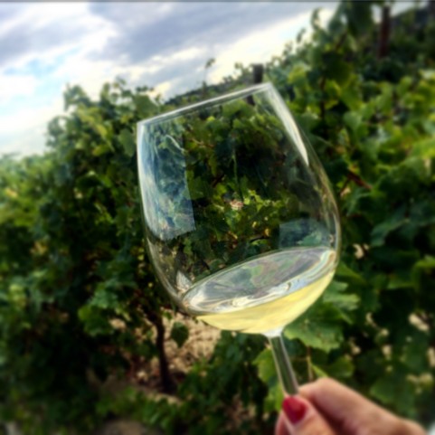 Depart from Madrid to San Sebastian