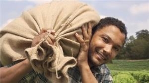 Colombian Coffee - rated among best in the world