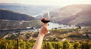 Portugal and Douro River Highlights