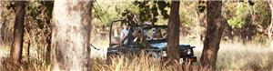 Ranthambore national park game ride