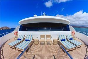 Endemic Upper deck terrace