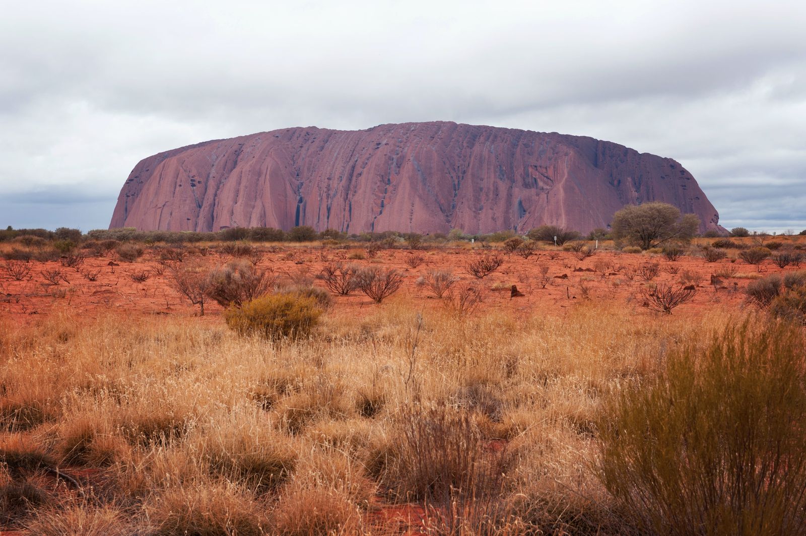 Uluru rising above the desert in Uluru-Kata Tjuta National Park. Photo: Tourism Australia