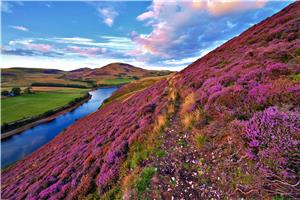 Scenery of Scotland