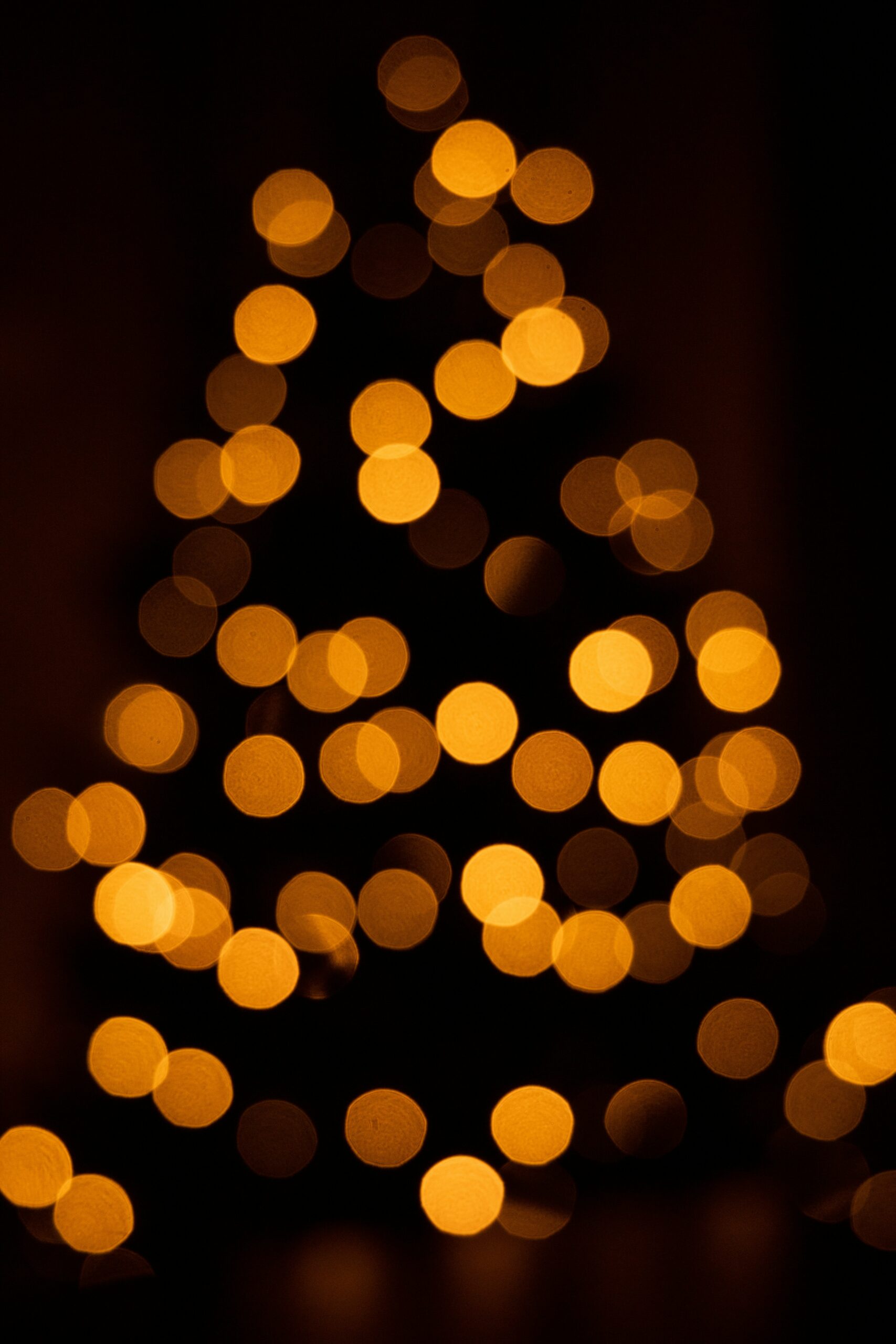 La Dolce Vita Orient Express: Jingle Route