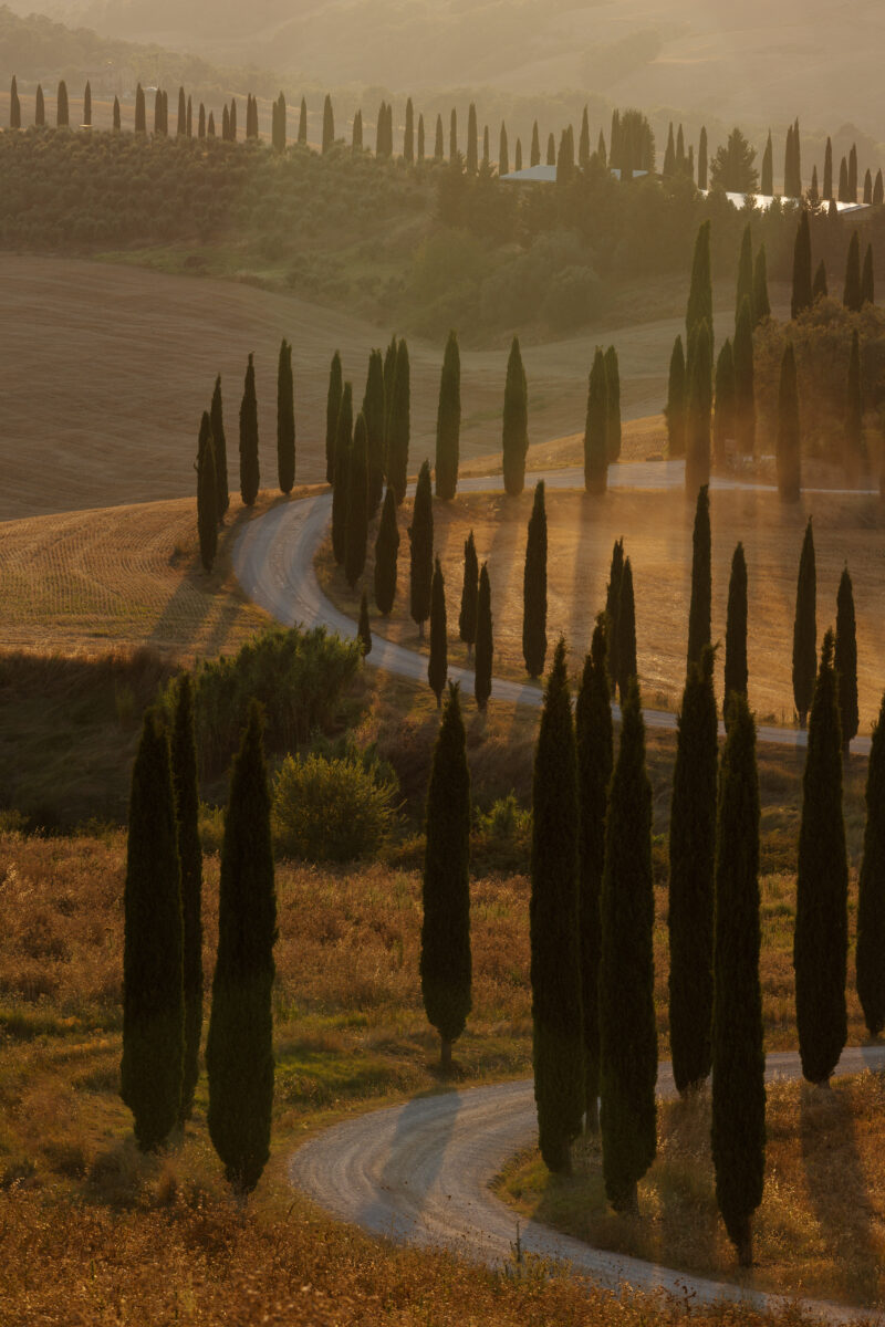 Montalcino - La Dolce Vita Orient Express
