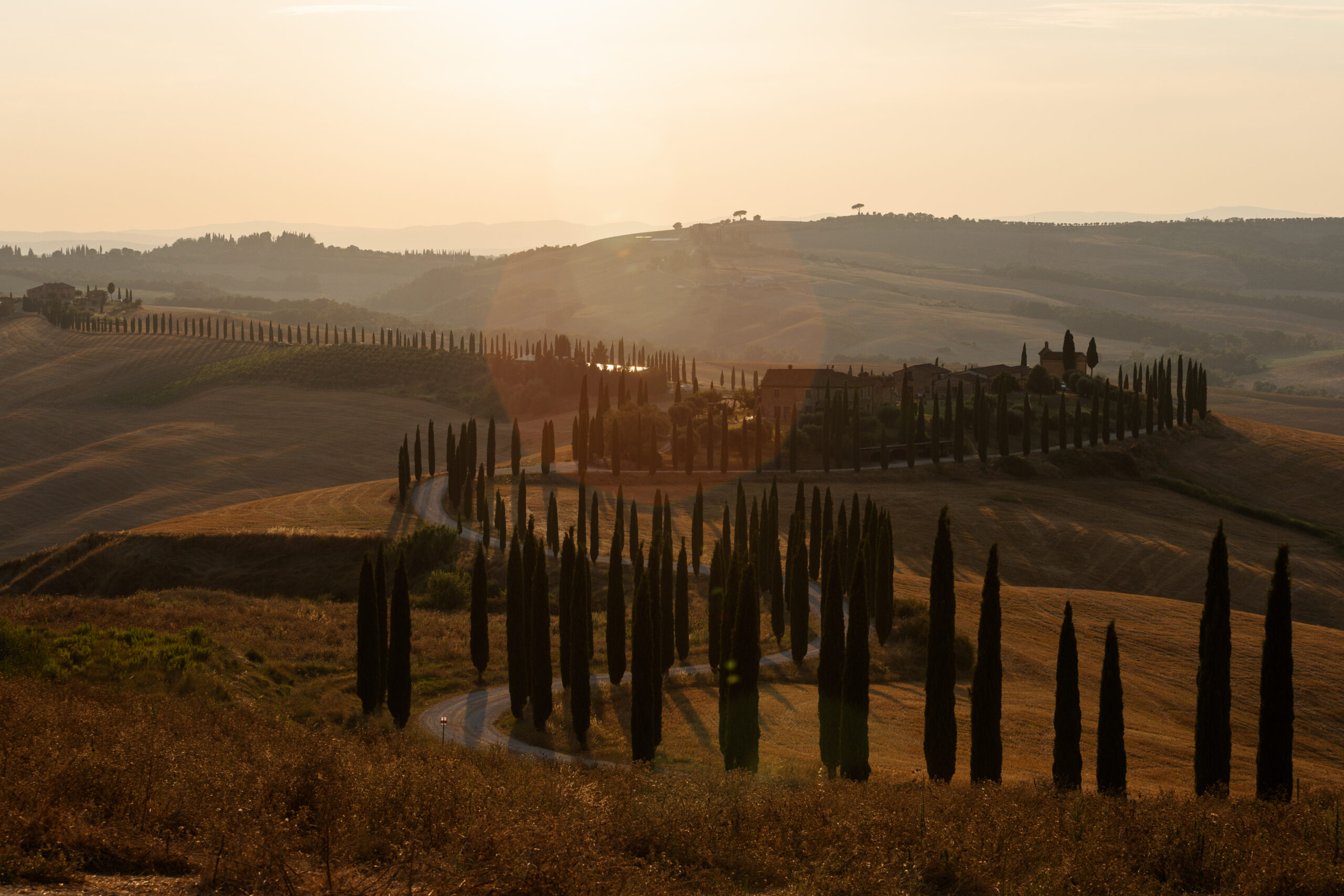 La Dolce Vita Orient Express: Tastes of Tuscan Vineyards