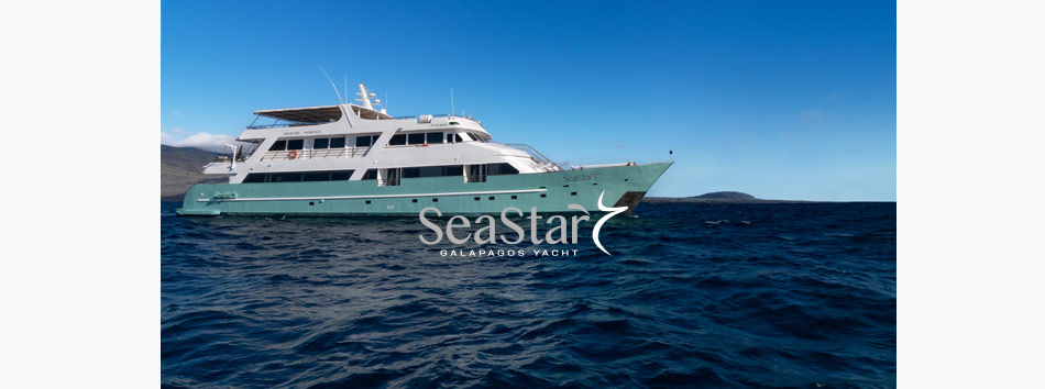 Galapagos Sea Star Luxury Yacht: Central & Southern Islands Cruise