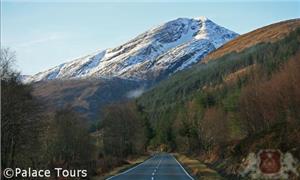 Achnashellach Forest