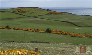 Countryside near Tain