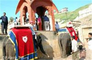 Elephant ride to Amber Fort, Jaipur
