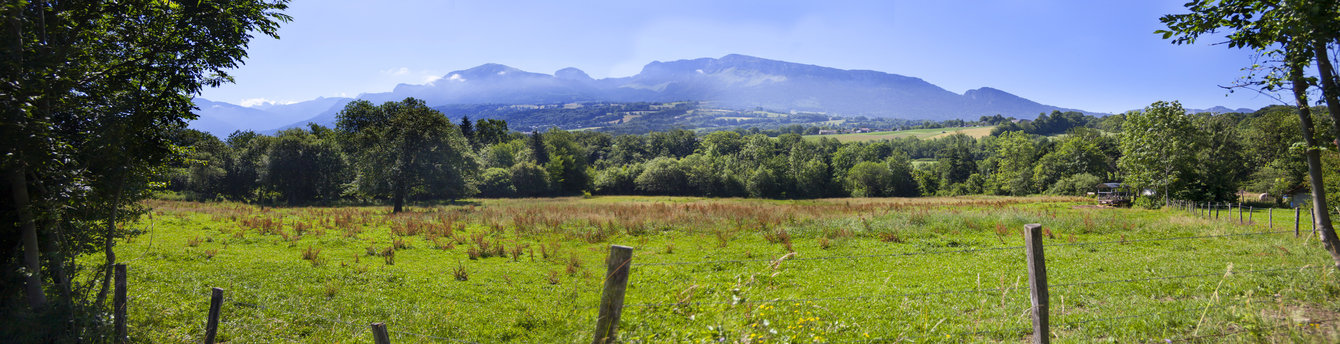 Experience the comfort and style of this luxury train as it travels through landscapes like no other