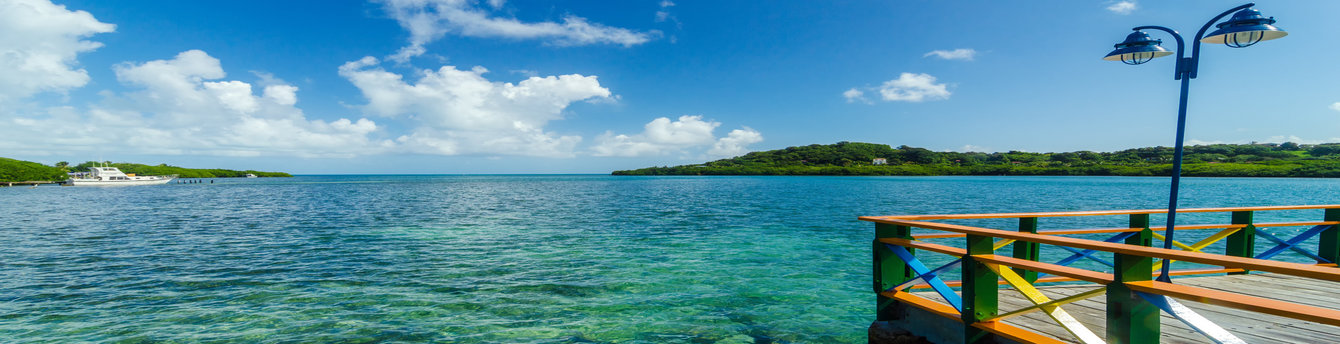 Book Now and receive 50% off companion fare