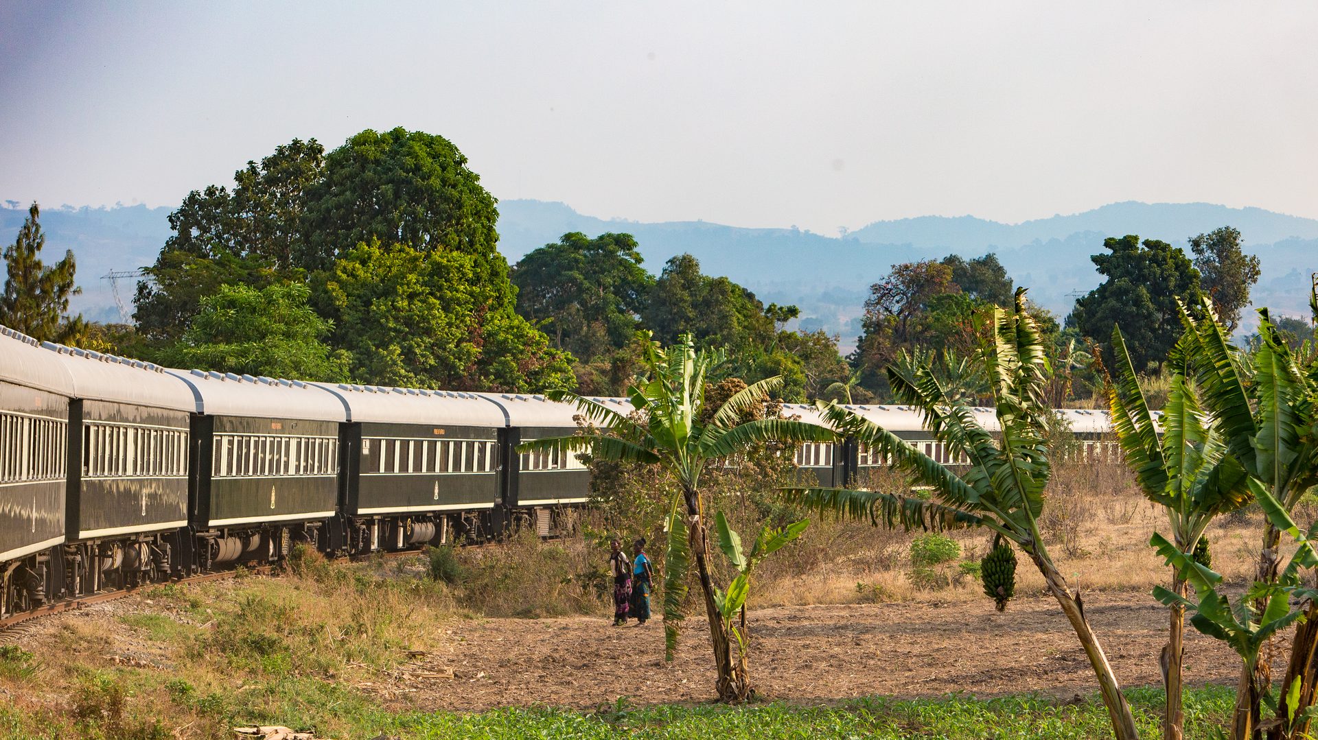 Train Palms at Rovos Rail Train Journeys - African Collage - Scenic