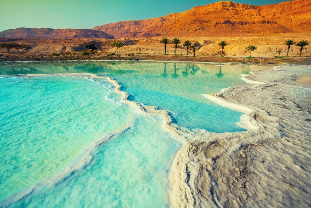 Turquoise water meets salt formations at the Dead Sea, with desert mountains and palm trees in the background.