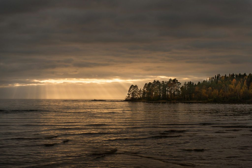 A wooded island on a Karelian lake — Karelia, Russia